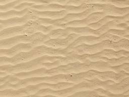 Fine sand