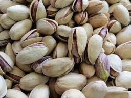 Фисташка Иран в скорлупе, соленая