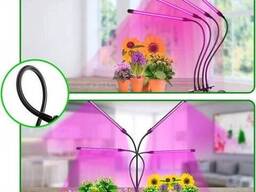 Фитолампа для растений Plant GrowLight светодиодная с таймером, черная