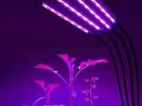 Фитолампа для растений Plant GrowLight светодиодная с таймером, черная - фото 1