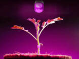 Фитолампа для роста и формирования корней E27 LED 7W Fito GROW (Full Spectrum=9:1)