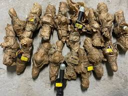 Форсунка в зборі 10Д100М.17СБ1 для тепловоза 2Т10