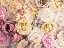 Фотообои 184 x 254 см Цветы - Розовые розы (13798P4A)