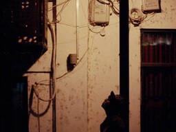 Фотопленка цветная Kodak VISION3 200T Color Negative Film 5213