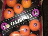 Фрукты и Ягоды Оптом - фото 8