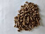 Fuel pellet - фото 3