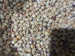 Фундук жареный. Орехи