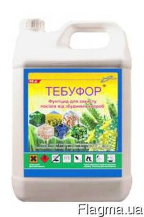 Фунгицид Тебуфор