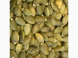 Гарбузове насіння