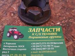 Гайка мтз вторичного вала 50-1701253