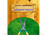 Газонная травосмесь Быстрый ремонт 800г - фото 1