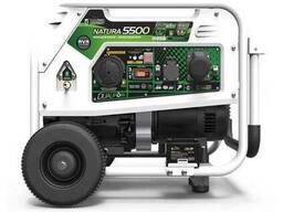 Гибридный генератор Genergy Natura 5000 газобензиновый генератор 5/4.5 кВт Медная обмотка