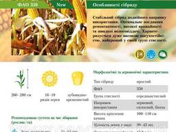 Семена кукурузы гибрид Тесла ФАО 350 , (2025 год)