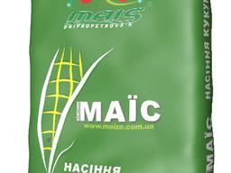 Гибрид кукурузы ДМ Виктория ФАО 290 МАИС (Маїс Дніпро)