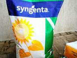 Гибрид соняшника Syngenta неома - фото 1