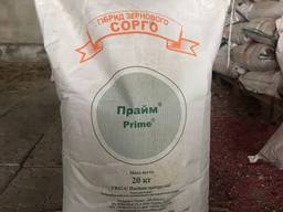 Насіння сорго . Прайм.