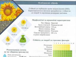 Гибриды подсолнечника, отечественной селекции и импорт.