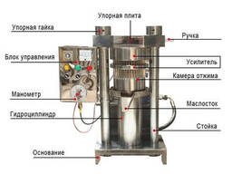 Гидравлический маслопресс Oil Extractor 6CH-150 Auto 55 тонн пресс для холодного отжима. ..