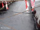 Гидроизоляция мостовых сооружений - фото 1