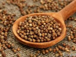 Гидролат Кориандра, 1 литр