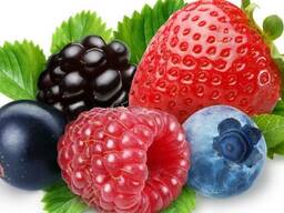 Гидролат Лесных Ягод, 1 литр