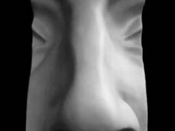 Гипсовая модель нос Давида
