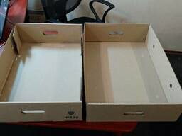 Лоток для мяса, рыбы, птицы 560*380*130