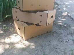 Гофроящик под виноград помидор