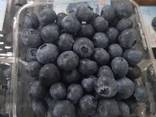 Голубика - фото 2