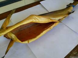 Горбуша Х/К б/г