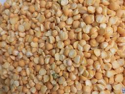 Горох на экспорт