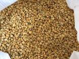 Горох сечка, горох колотый, гороховая крупа, горох половинки - фото 3