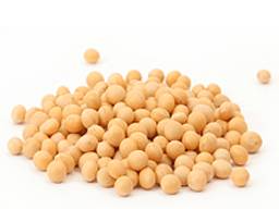 Господарство реалізує сою - 30 тонн