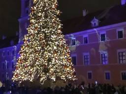 Гражданство Румынии