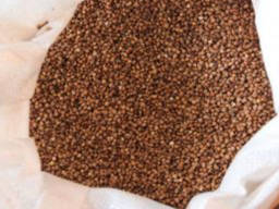 Гречка жареная, опт