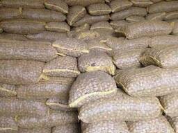 Грецкий орех