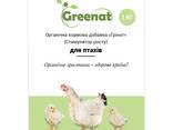 Greenat - фото 4