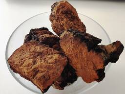 Гриб (березовий) Чага, сушена.