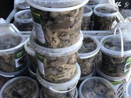 Грибы маринованные вешенка