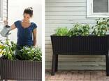 Грядка для растений Easy Grow Allibert, Keter - фото 1