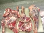 Halal Meat Mutton and Lamb wholesale export/ Халяль Баранина оптом на экспорт - фото 2