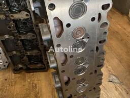 ГБЦ, Головка блока циліндрів DEUTZ-FAHR 1013 BF6M1013L Модель:1013