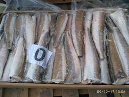 Хек Морадино О