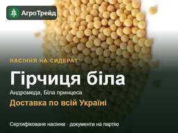 Гірчиця на сидерат: насіння білої гірчиці Андромеда, Біла принцеса