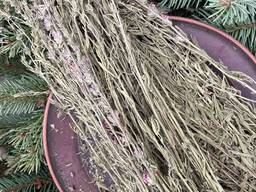 Гісоп, сушений гісоп, синя шавлія, звіробій синій, сусоп, гисоп, юзефка, ісоп звичайний