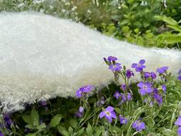 Хлопкопон (наполнитель для одеял)