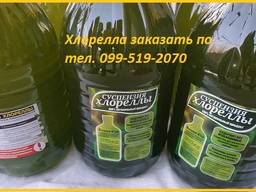 Хлорелла для водоемов и рыбных хозяйств.