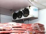 Холодильна камера для зберігання м'яса - підбір, монтаж