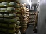 Холодильна камера зберігання молочної продукції для фермерських господарст - фото 3