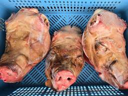 Голови свинячі